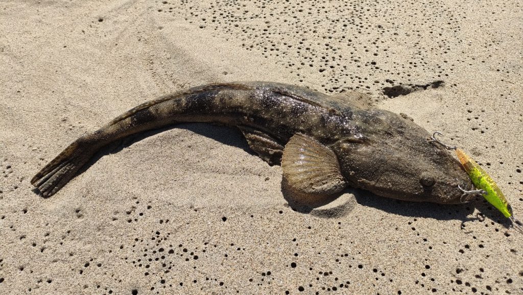 デュエルモンスターショットで狙うマゴチ！鈴鹿サーフでの1時間釣行